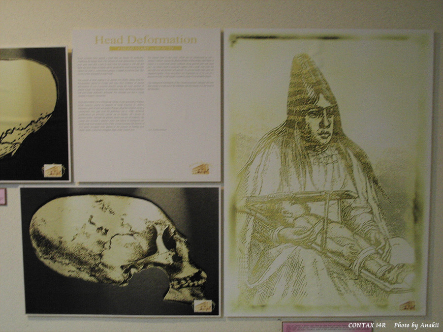 06.01.15.PeopleMuseum.Beauty11.jpg