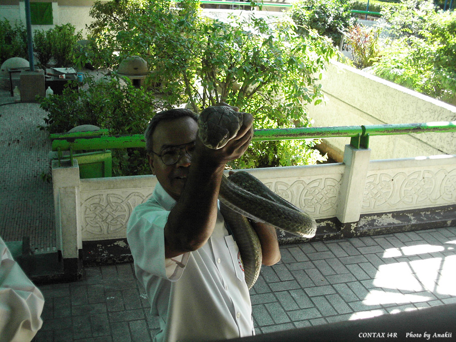 06.01.20.SnakeFarm02.jpg