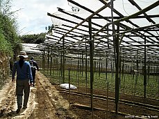 06.01.12.Trekking.VegFarm3.jpg