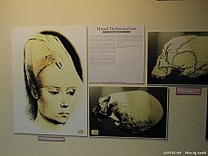 06.01.15.PeopleMuseum.Beauty10.jpg